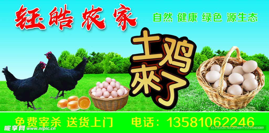 土鸡宣传画