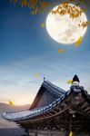 秋天夜景
