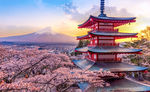 富士山
