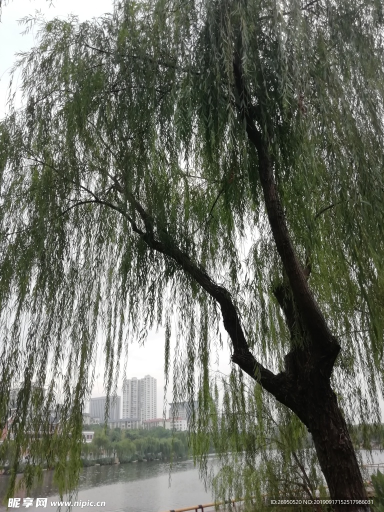 公园