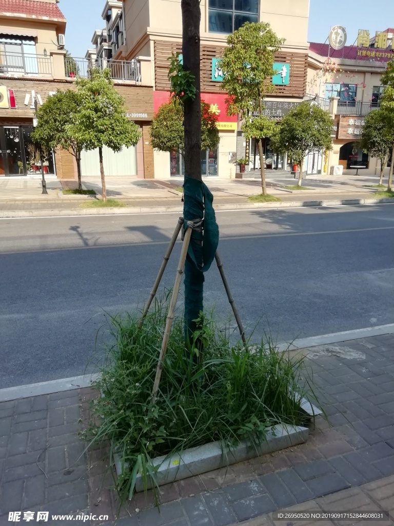 路面