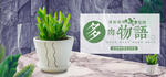 多肉植物