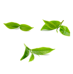 茶叶