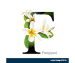 花体字母