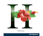 花体字母