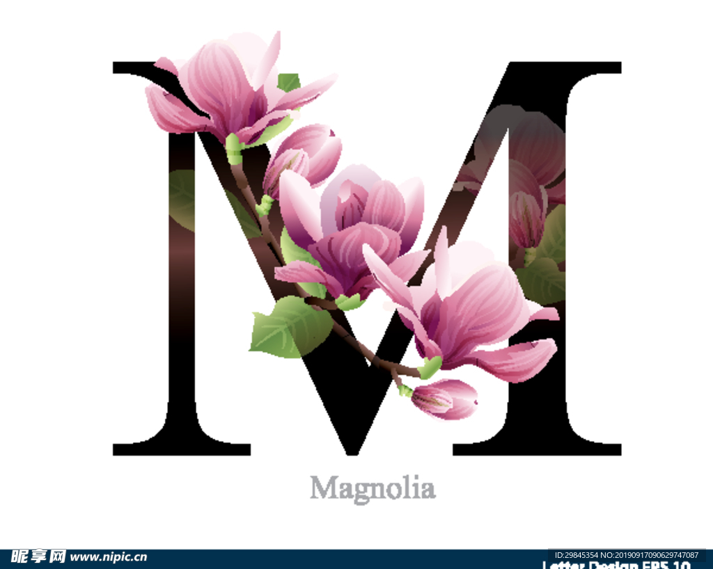花体字母
