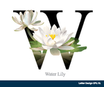 花体字母
