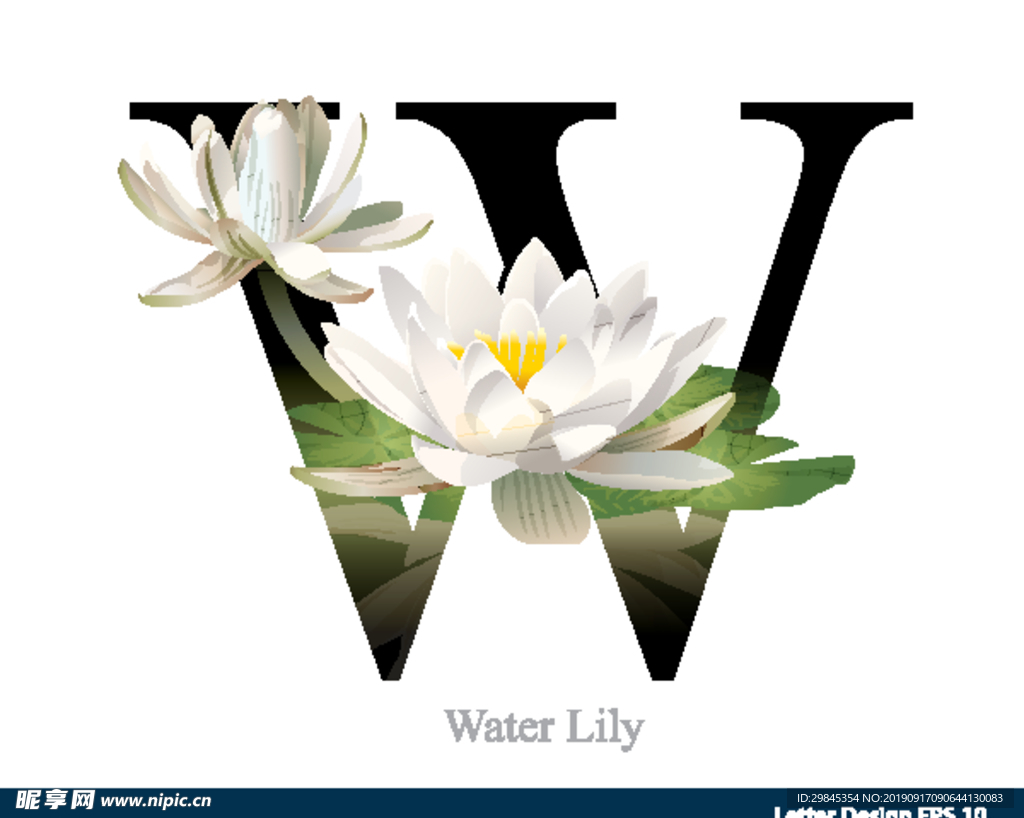 花体字母