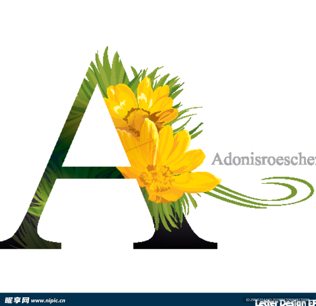 花体字母