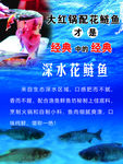 花鲢鱼
