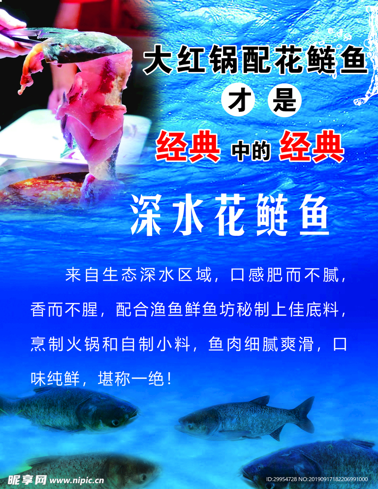 花鲢鱼