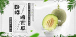 哈密瓜banner