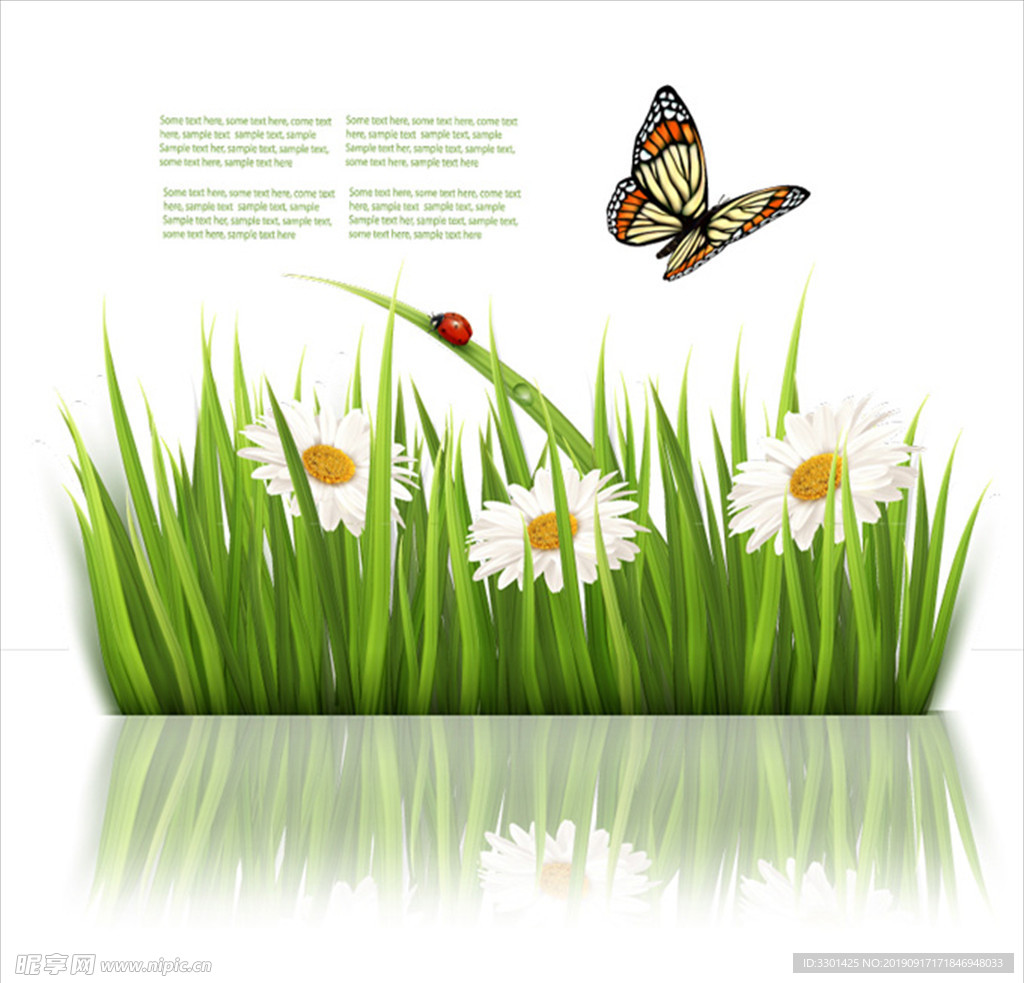 绿色的小草白色的小花图片素材免费下载 - 觅知网