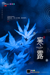 寒露