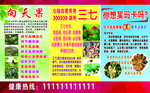 三七向天果玛卡简介