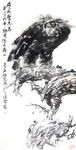 鸟