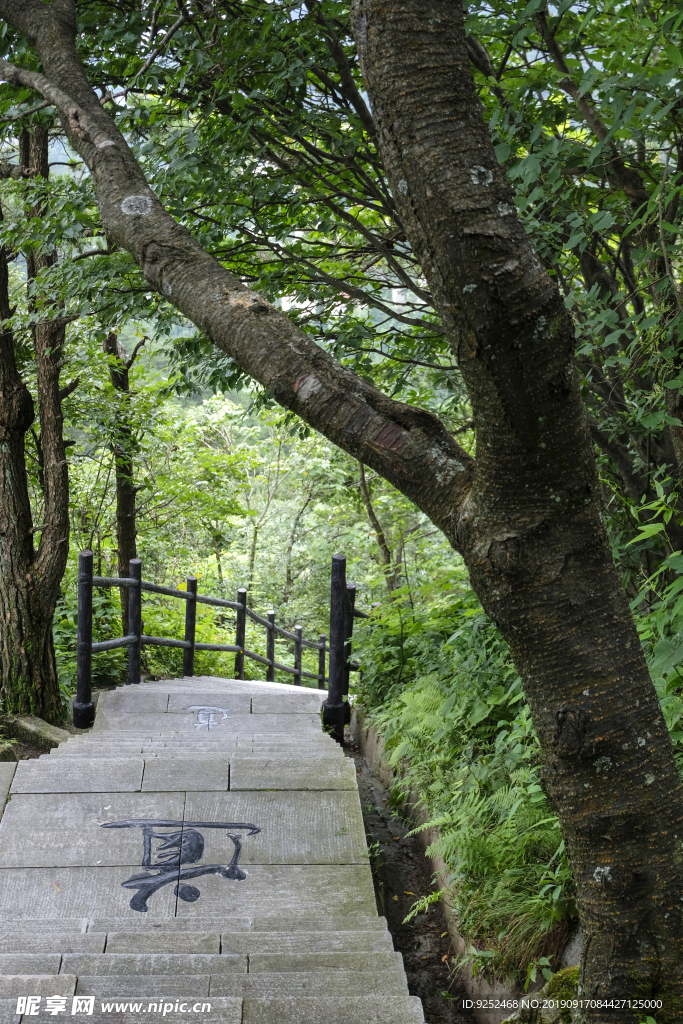 森林步道