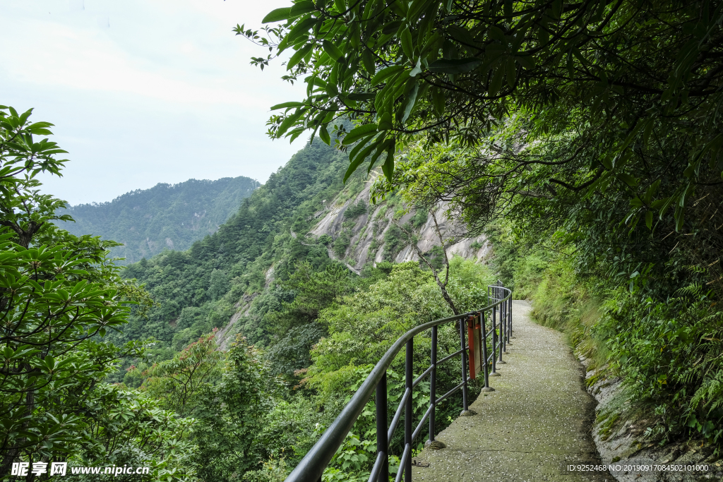 森林步道