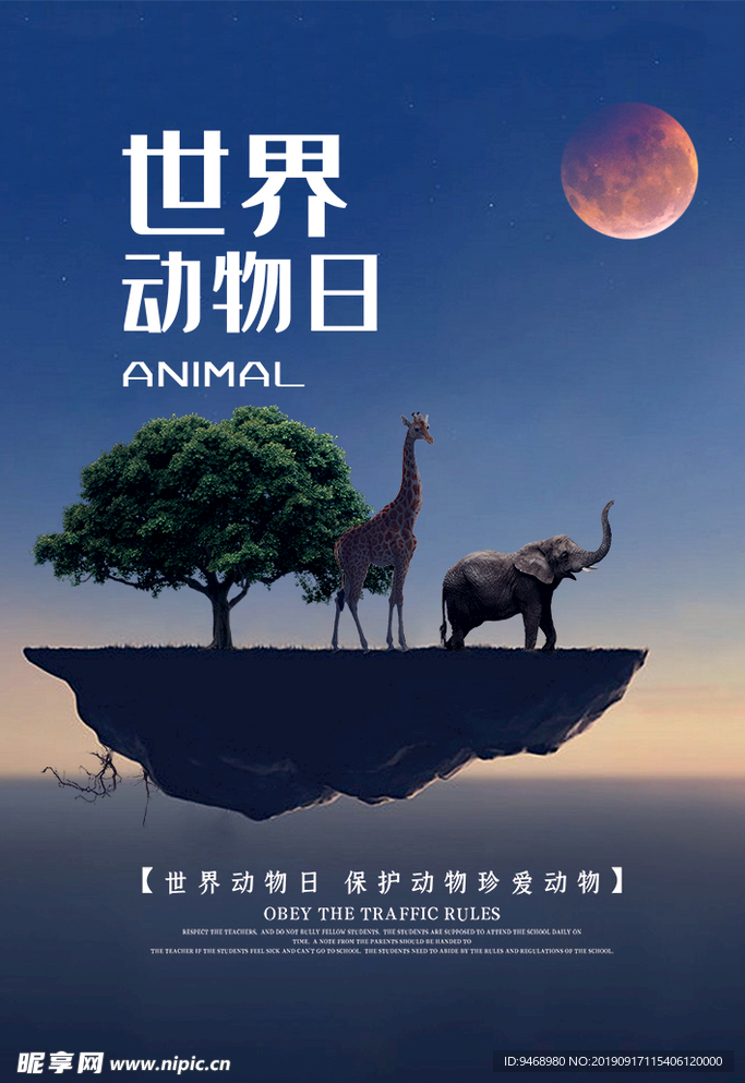 动物