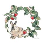 兔子
