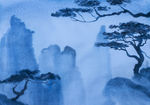 松树 山