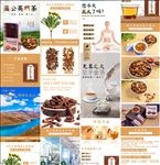 蒲公英根茶