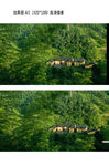 风景怡人森林中的小房子高清视频