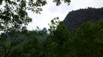 深山老林