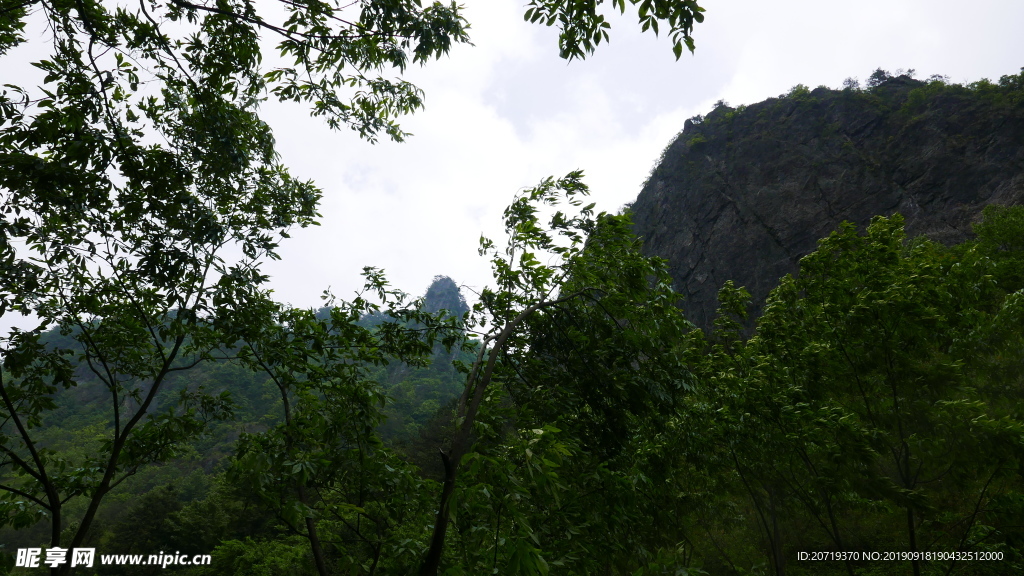 深山老林