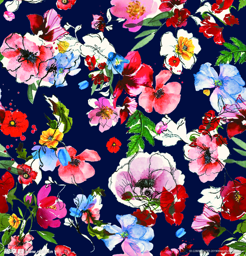 玫瑰花