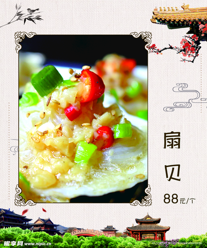 扇贝