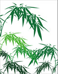 竹林