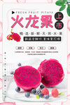 火龙果