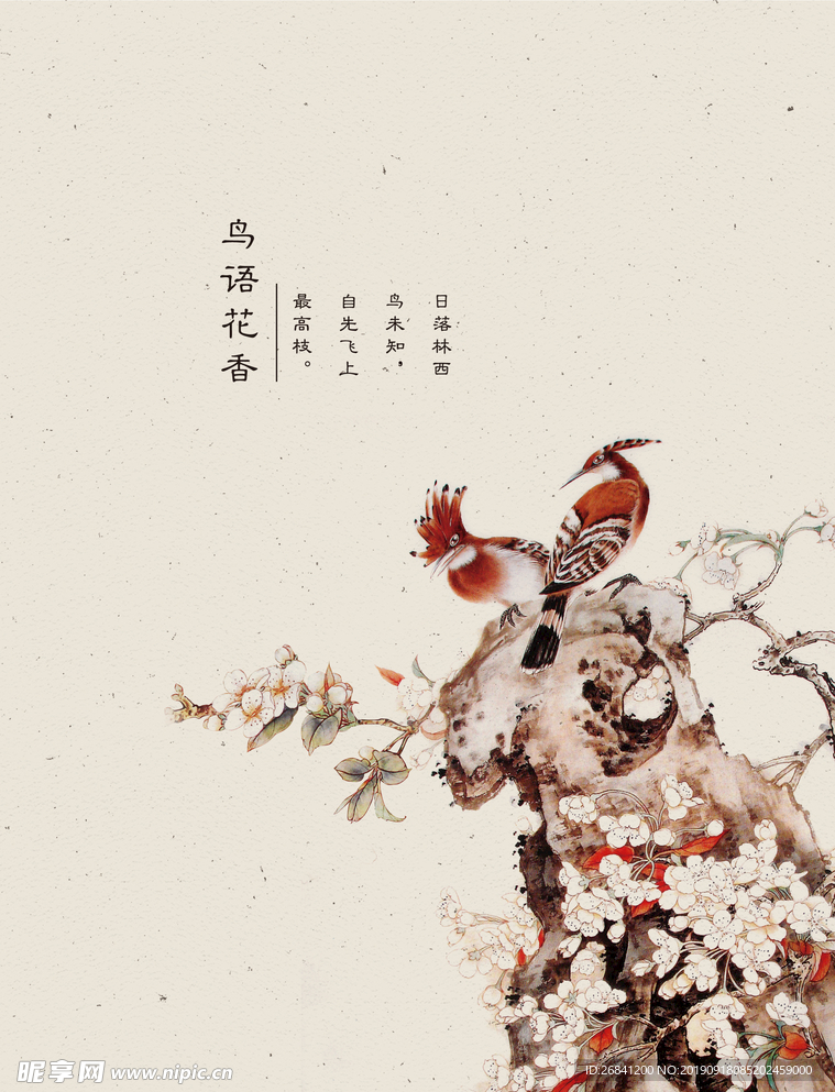 中国鸟风