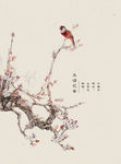 中国鸟风