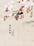 玉兰花