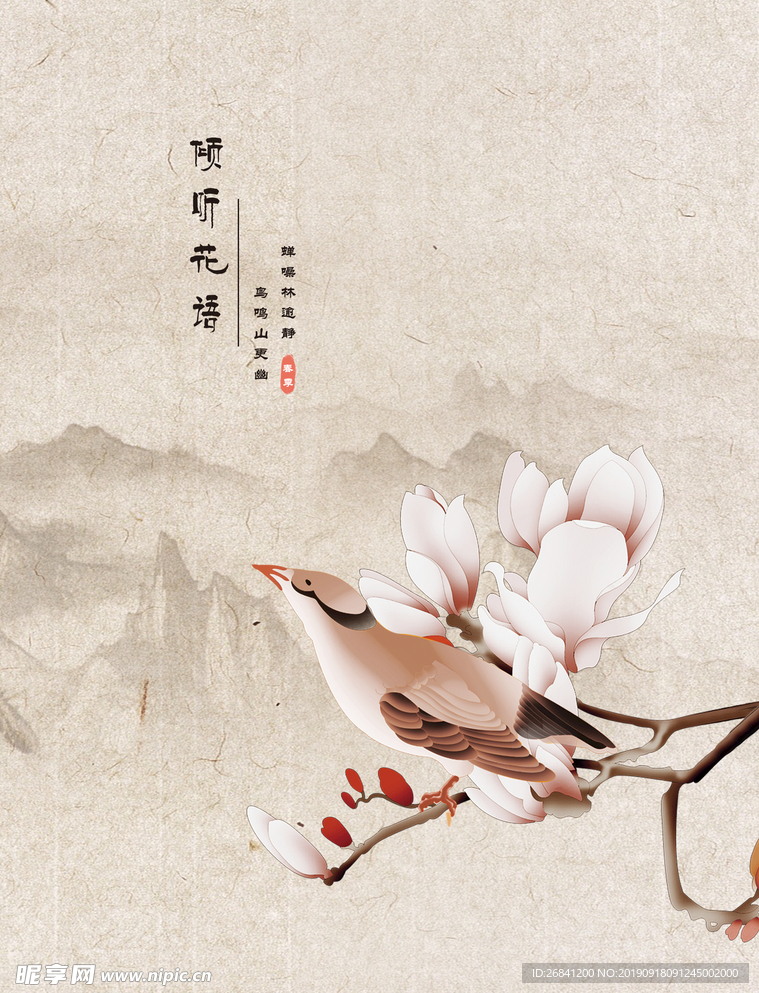 玉兰花