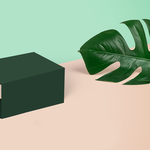 植物背景