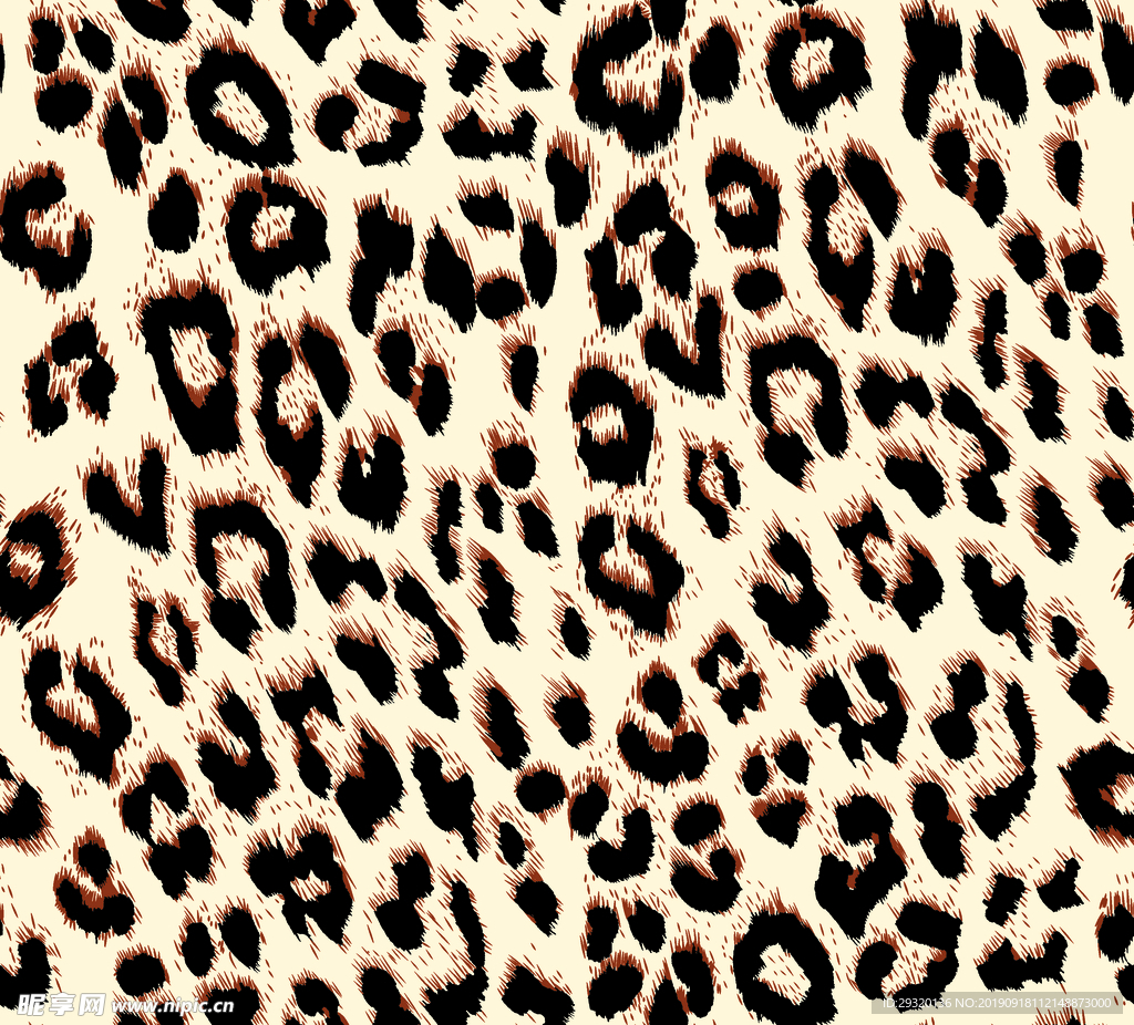 豹纹