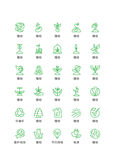 绿色植物