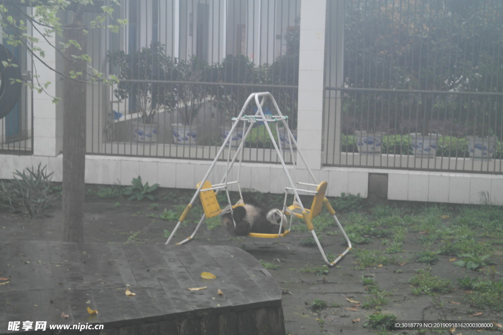 熊猫