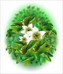 热带香蕉树林