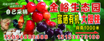 大樱桃生态园采摘园