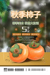 秋季柿子海报模板