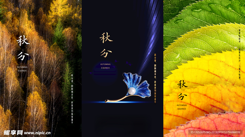 秋分