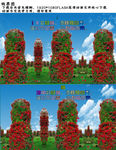 红色三角梅 梅花FLASH视频