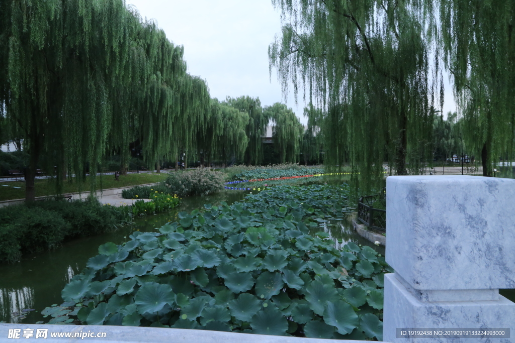 陶然亭风景