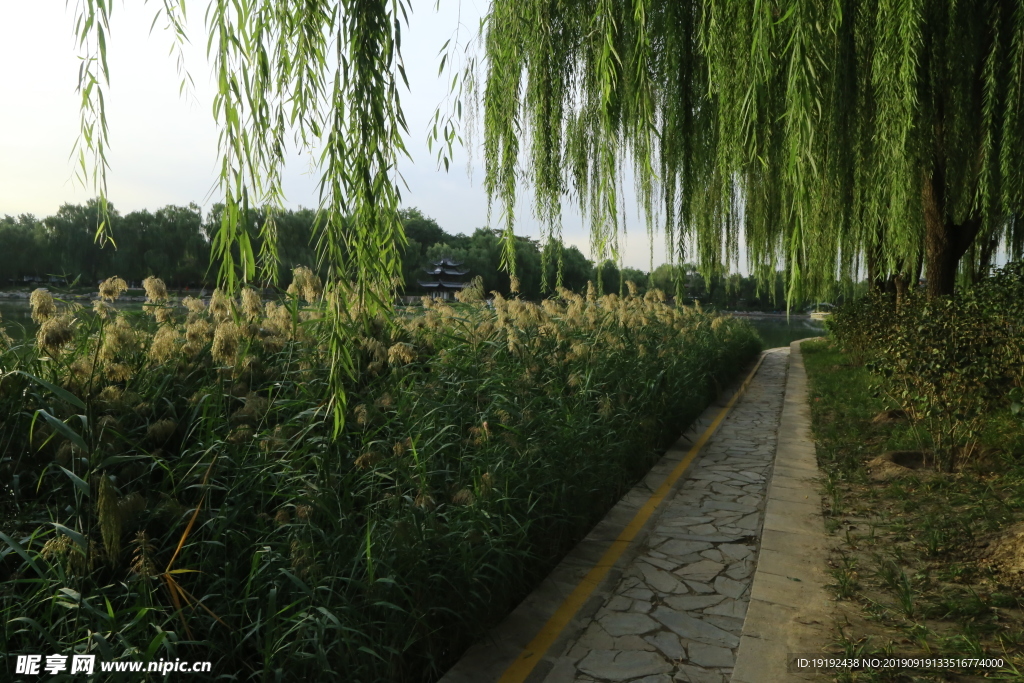 陶然亭风景