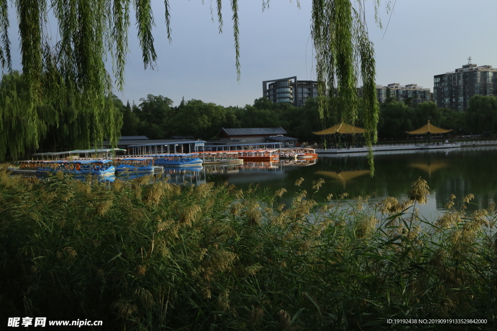 陶然亭风景