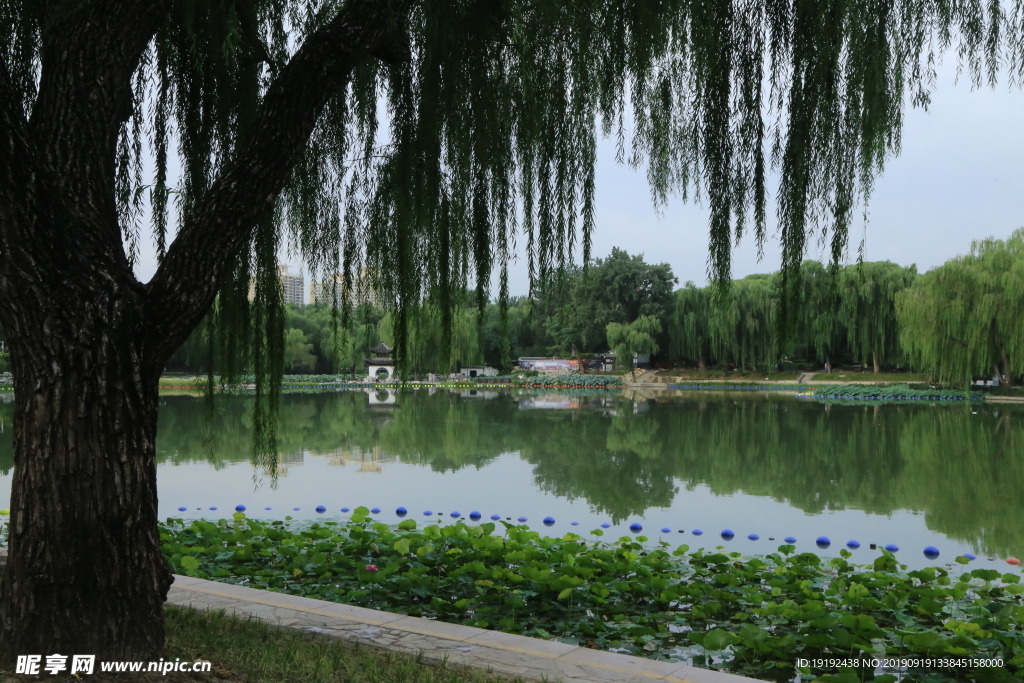 陶然亭风景